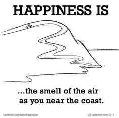 d3a736c1ca57db935a7b88d4f9843c53